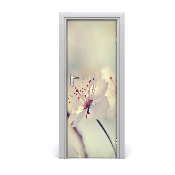 Poster porte Fleurs de cerisier