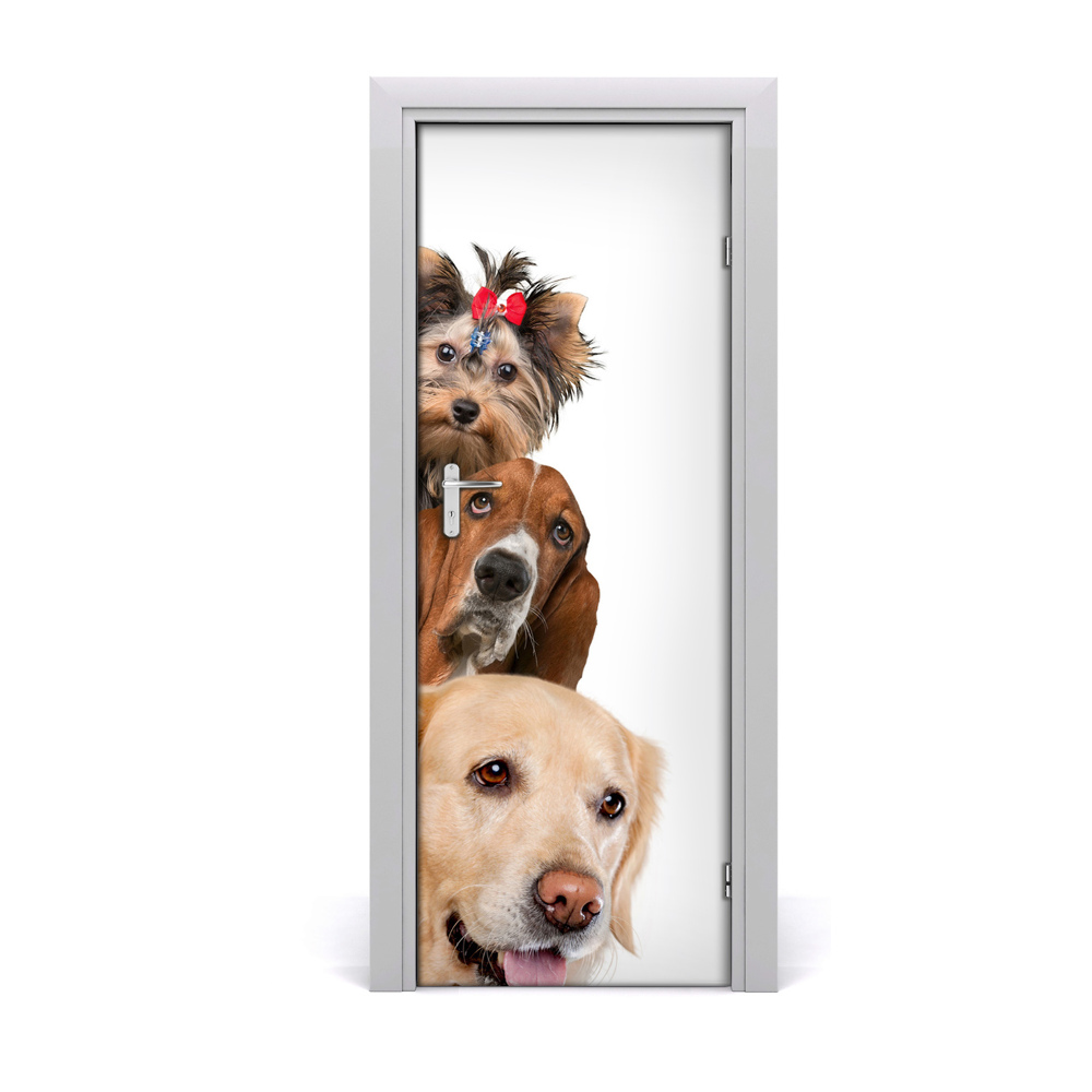 Poster porte Chiens