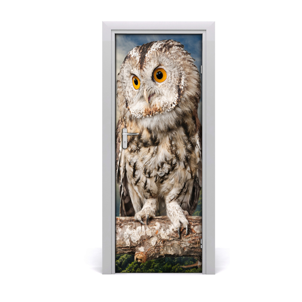 Sticker de porte Hibou dans un arbre