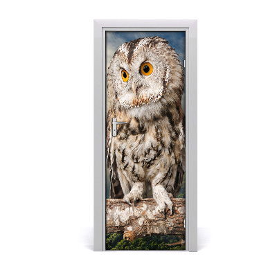 Sticker de porte Hibou dans un arbre