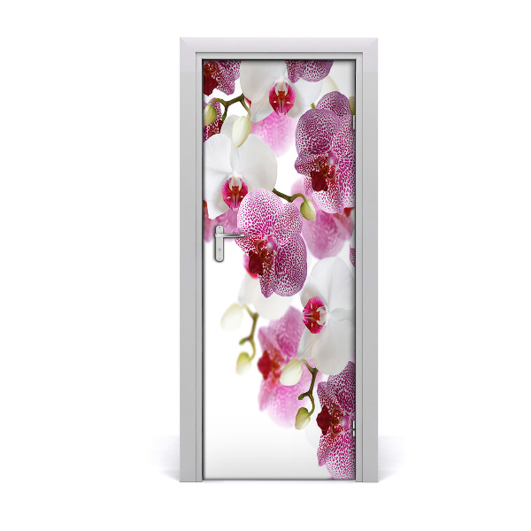 Sticker porte Orchidée