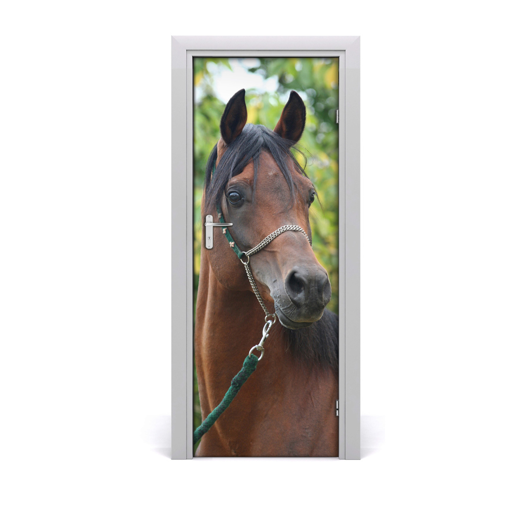 Autocollant porte Cheval brun