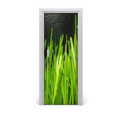 Autocollant porte Herbe