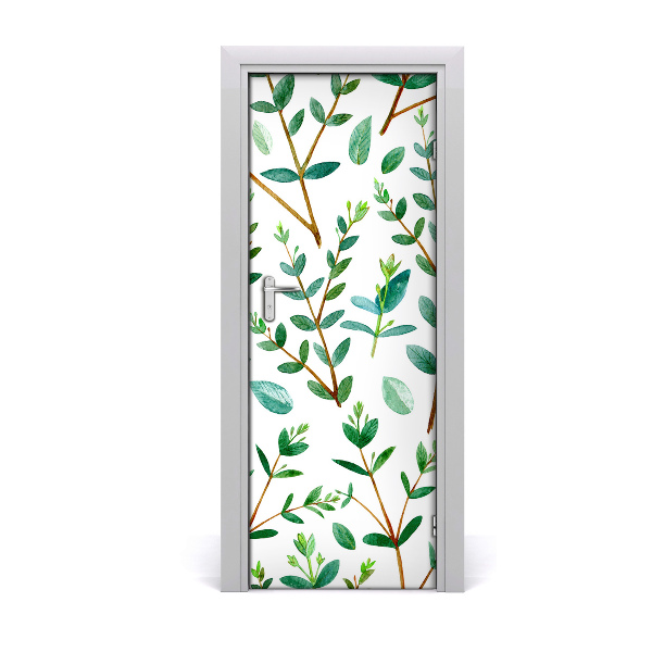 Poster porte Eucalyptus