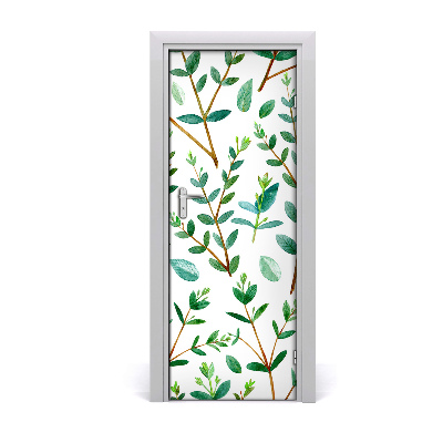 Poster porte Eucalyptus