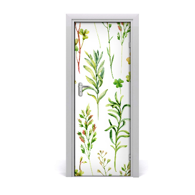 Poster porte Plantes de prairie