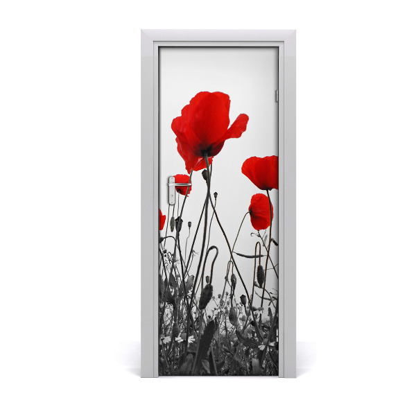 Papier peint porte Coquelicots des champs