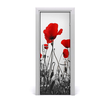 Papier peint porte Coquelicots des champs