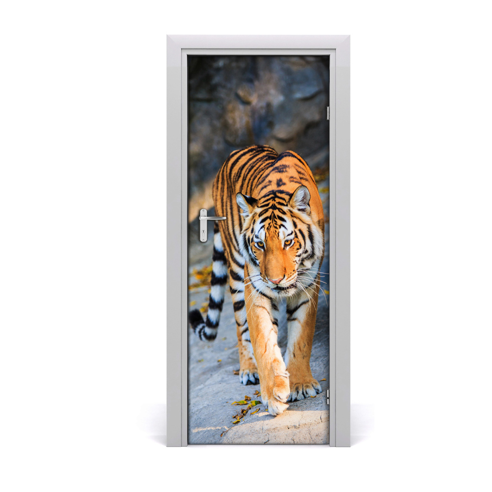 Poster porte Tigre