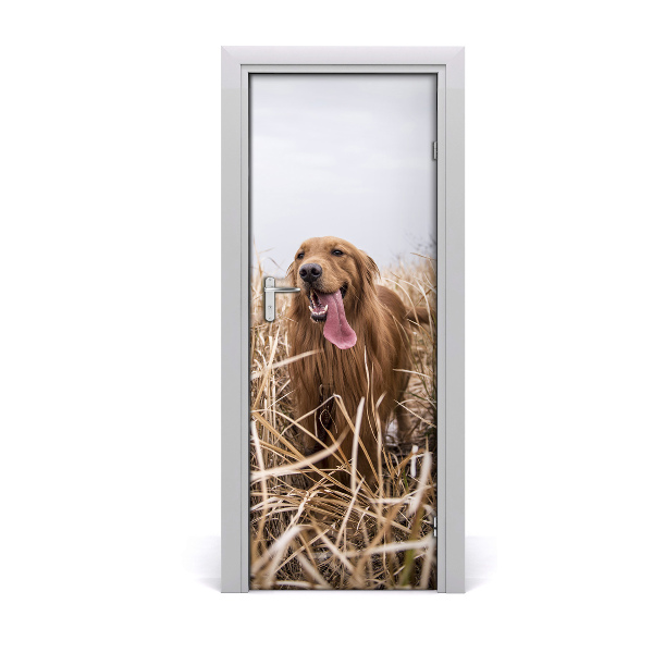 Sticker porte Golden retriever