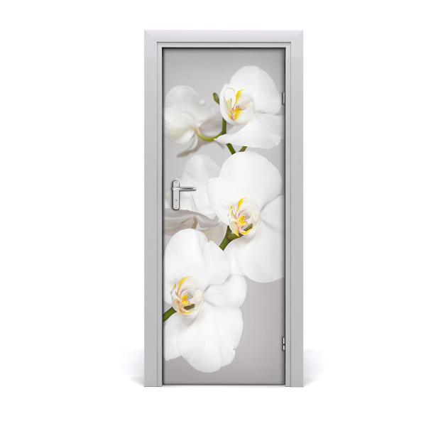 Poster porte Orchidée blanche