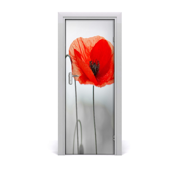 Papier peint porte Coquelicots des champs