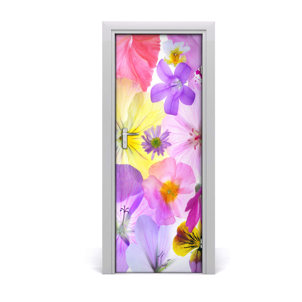 Sticker porte Fleurs colorées