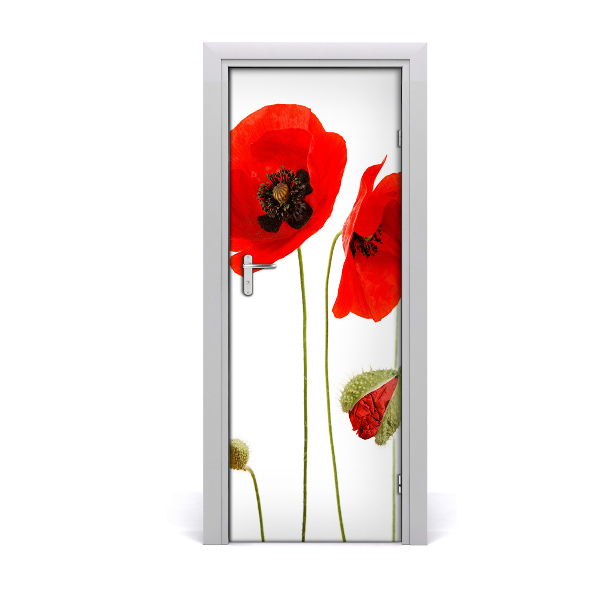 Poster porte Coquelicots des champs