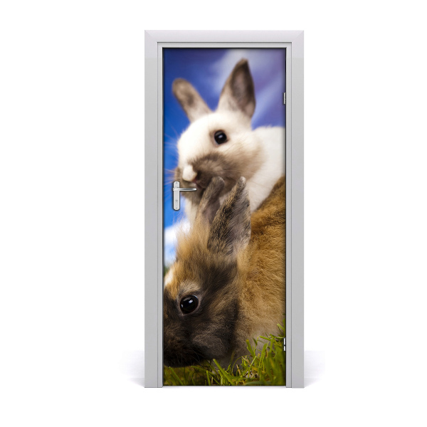 Sticker porte Lapin