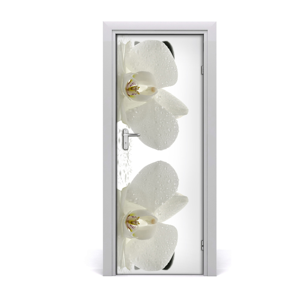 Poster porte Orchidée et pierres