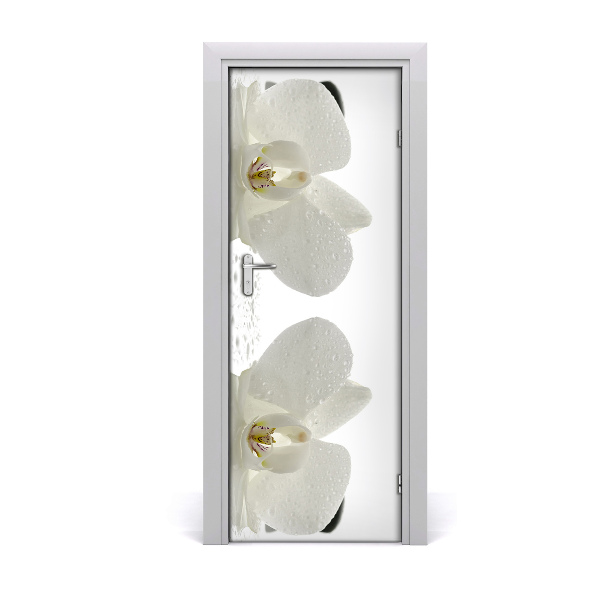 Poster porte Orchidée et pierres