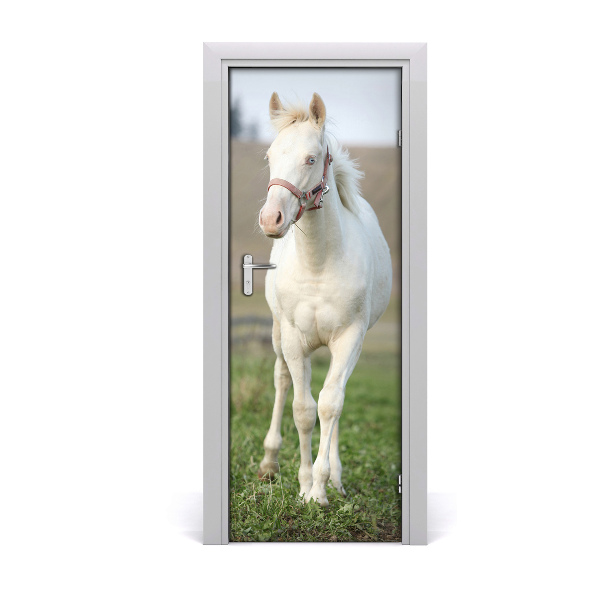 Sticker de porte Cheval albinos