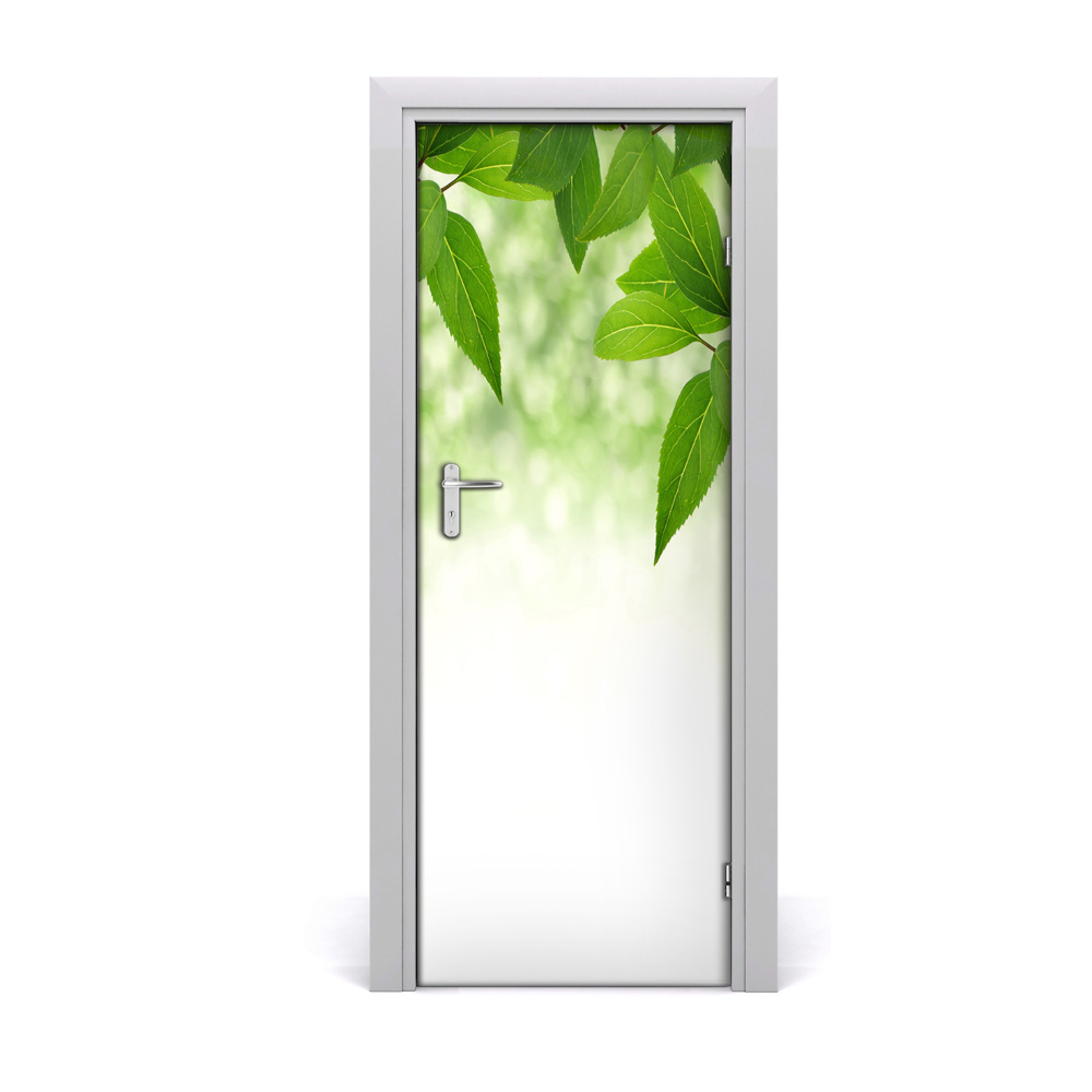 Autocollant porte Feuilles vertes