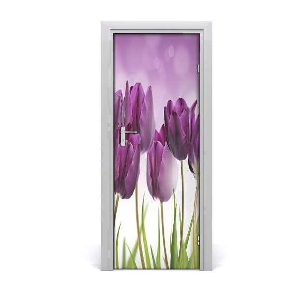 Papier peint porte Tulipes violettes