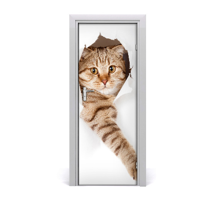 Papier peint porte Chat