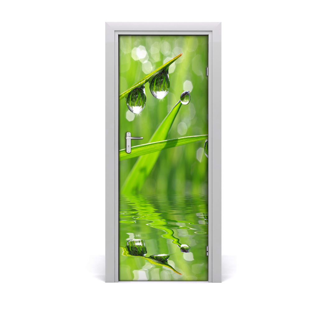 Décoration porte intérieur Herbe à rosée