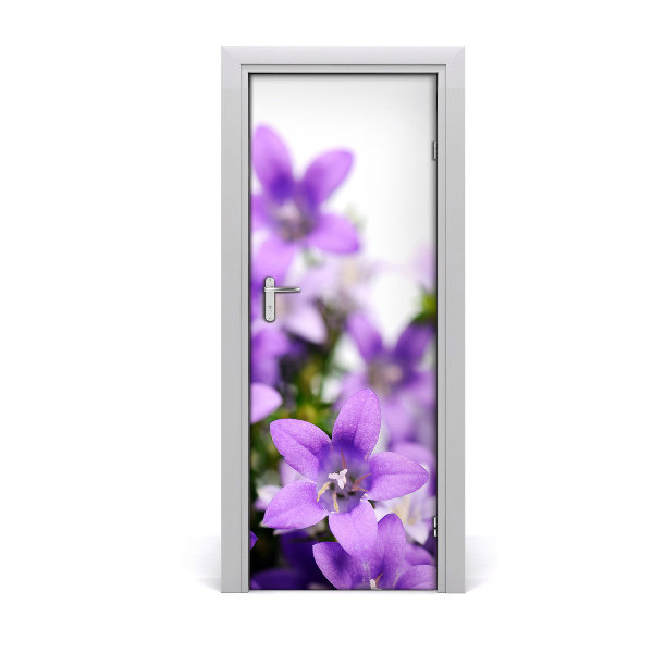 Poster porte Fleurs violettes