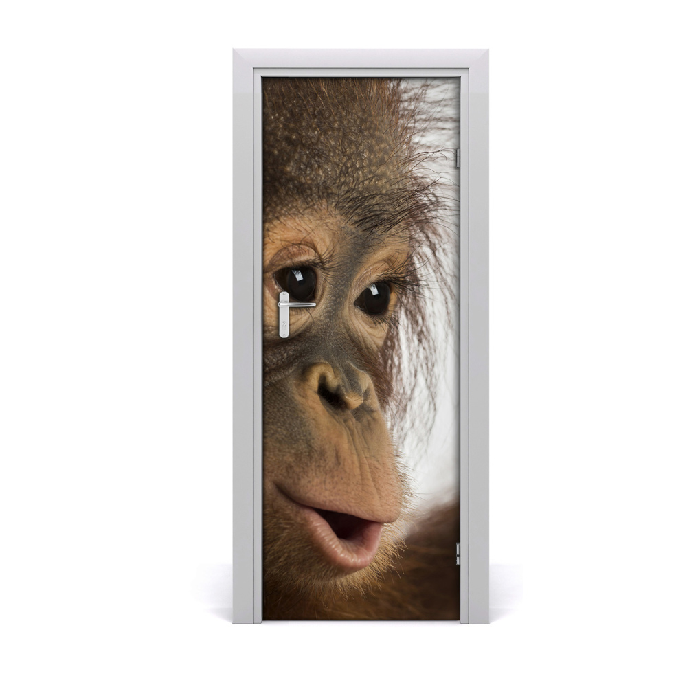 Autocollant porte Jeune orang-outan