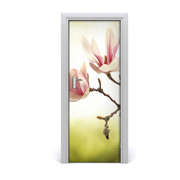 Poster porte Fleurs de magnolia