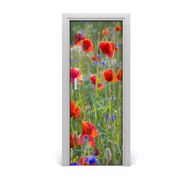 Poster porte Coquelicots des champs