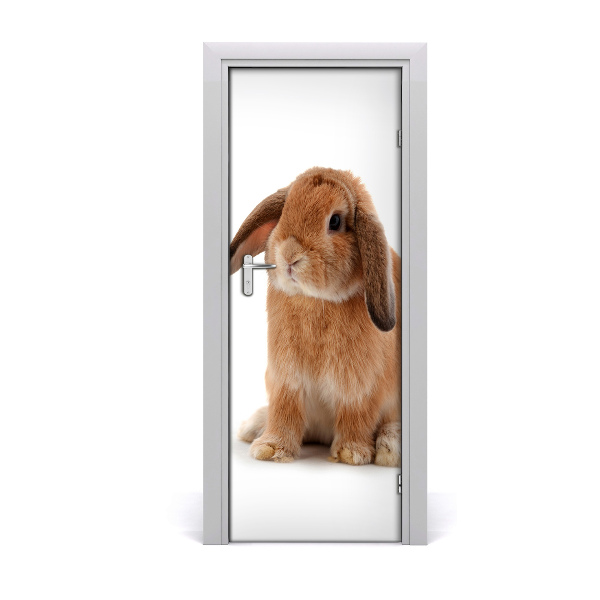 Autocollant porte Lapin