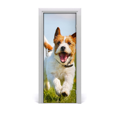 Papier peint porte Chien Jack Russell