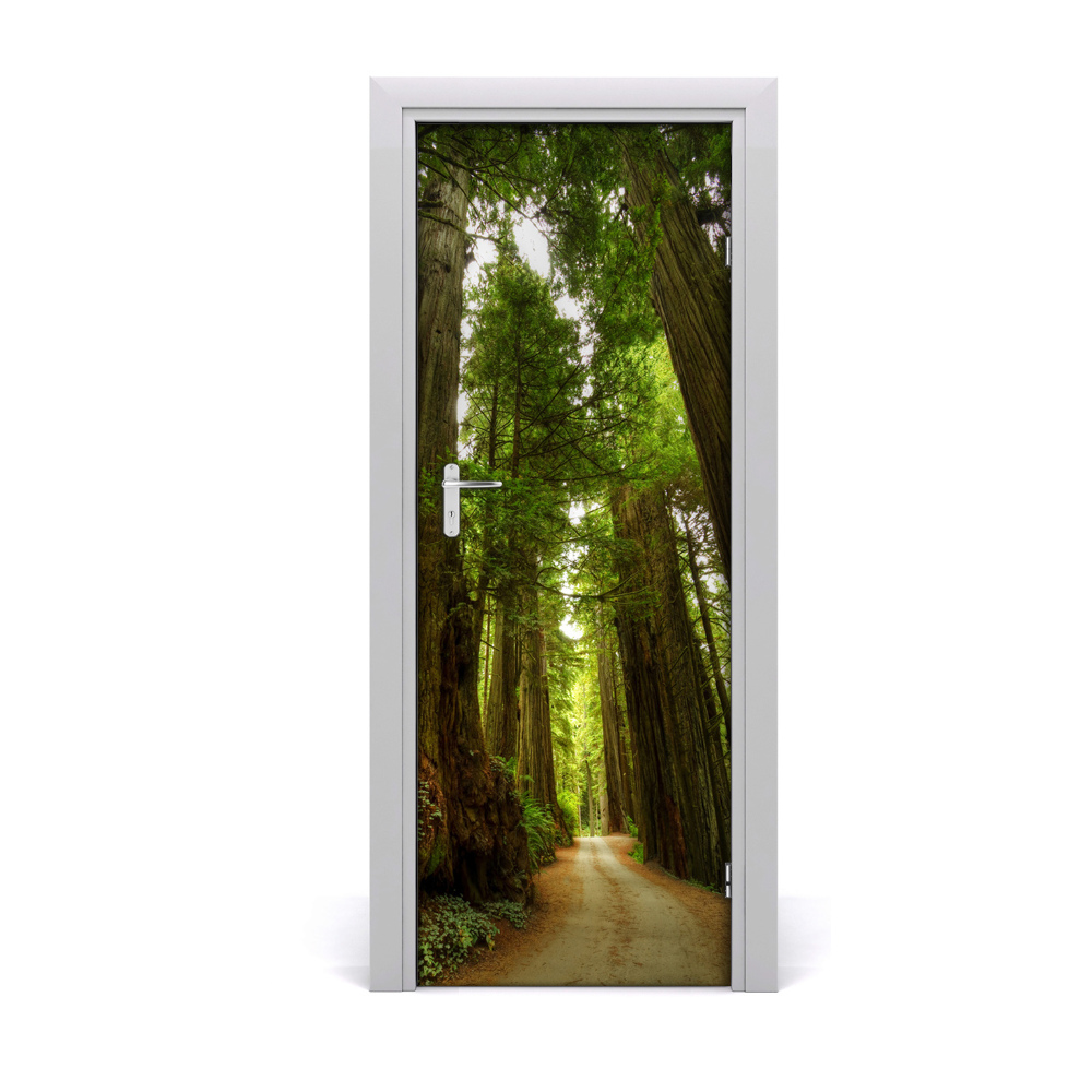 Sticker porte Chemin dans une vieille forêt