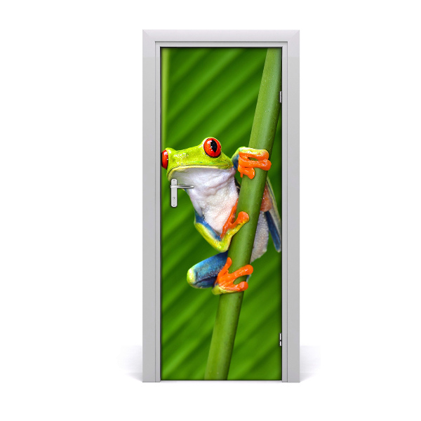 Papier peint porte Grenouille