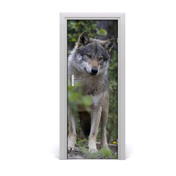 Sticker de porte Loup dans la forêt