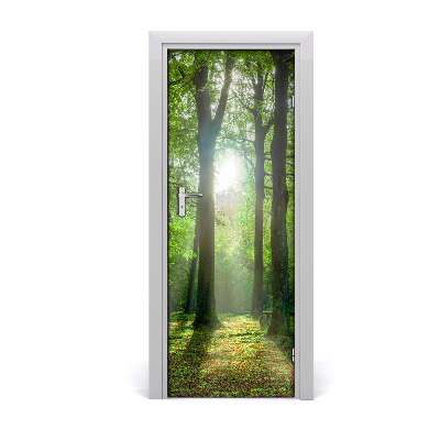 Poster porte Soleil dans la forêt