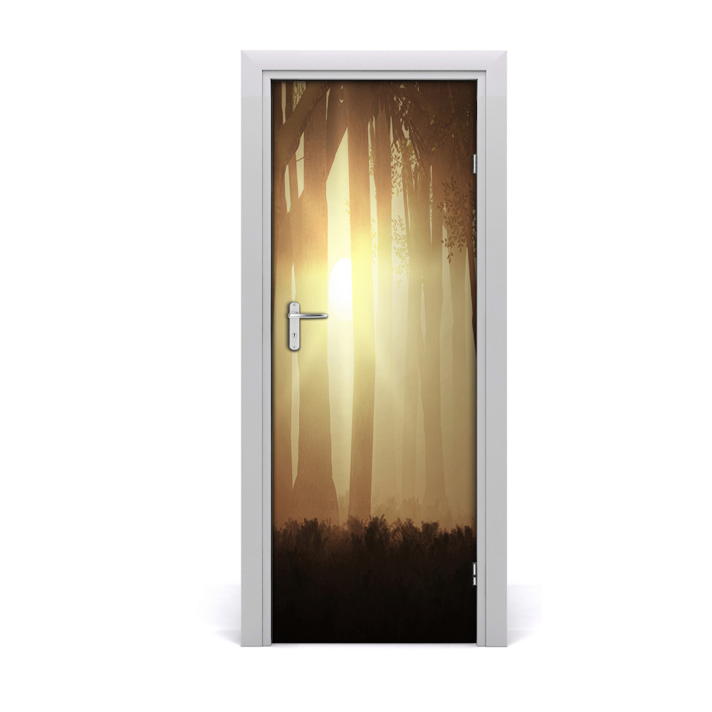 Décoration porte intérieur Brume dans la forêt