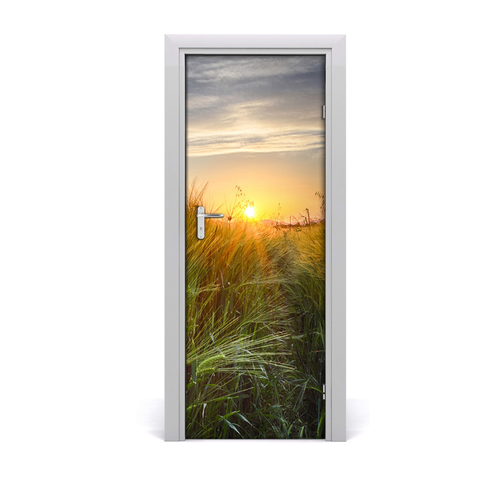 Poster porte Champ de blé vert