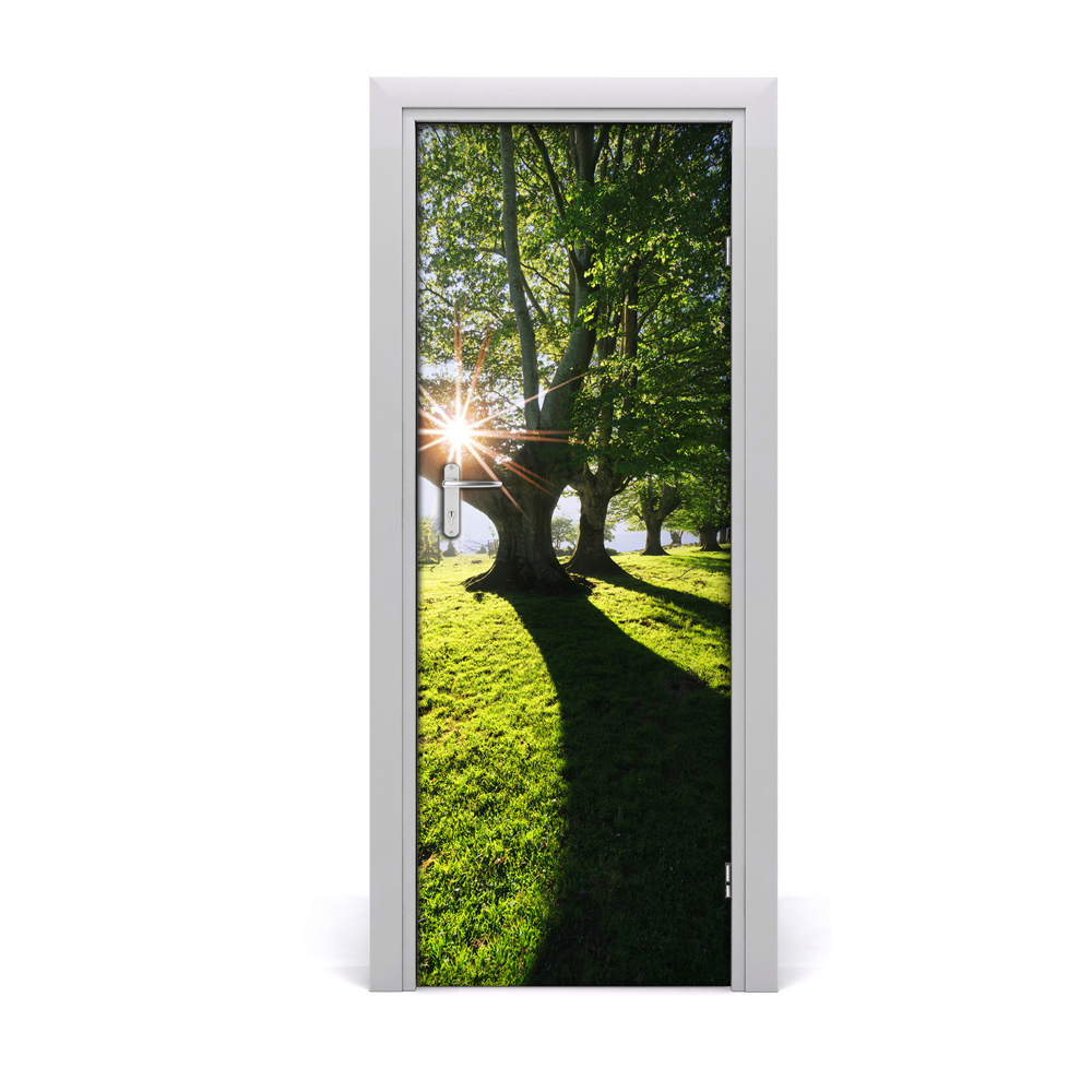 Décoration porte intérieur Arbres verts dans le parc