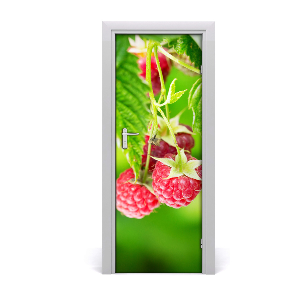 Décoration porte Framboisier