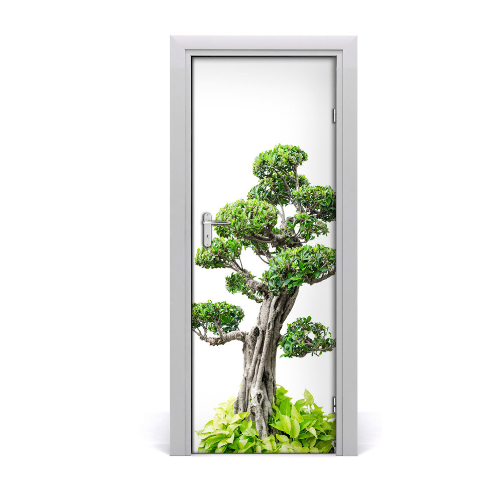 Poster porte Bonsaï