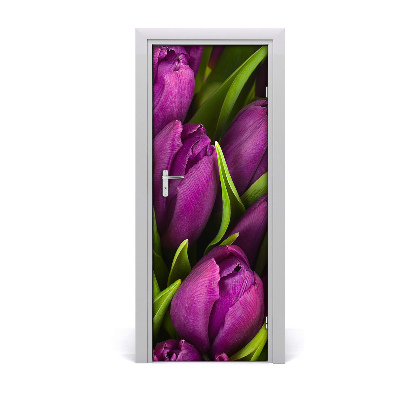 Autocollant porte Tulipes violettes