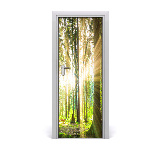 Papier peint porte Rayons de soleil dans la forêt