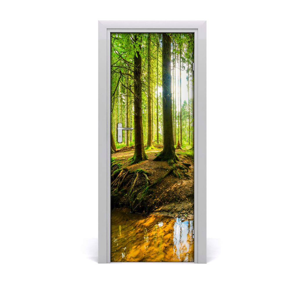 Papier peint porte Un ruisseau dans une belle forêt