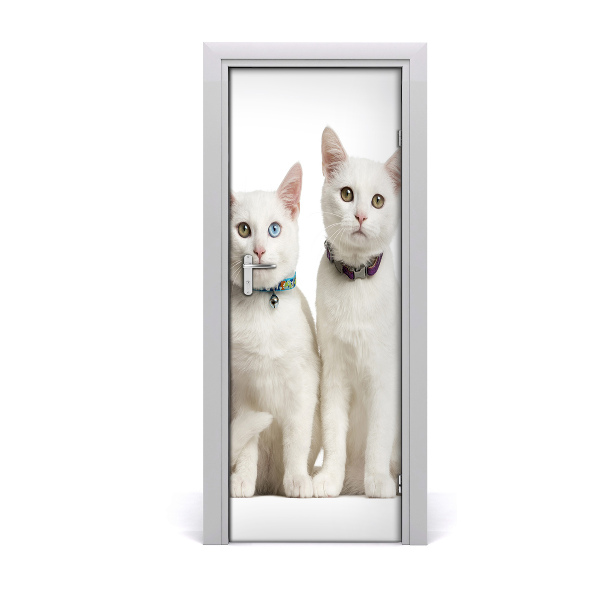 Sticker de porte Chat blanc