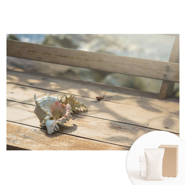 Papier peint intissé Un coquillage sur un banc en bois