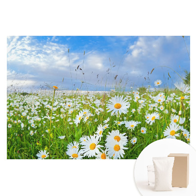 Papier peint photo grand format représentant une prairie fleurie en été