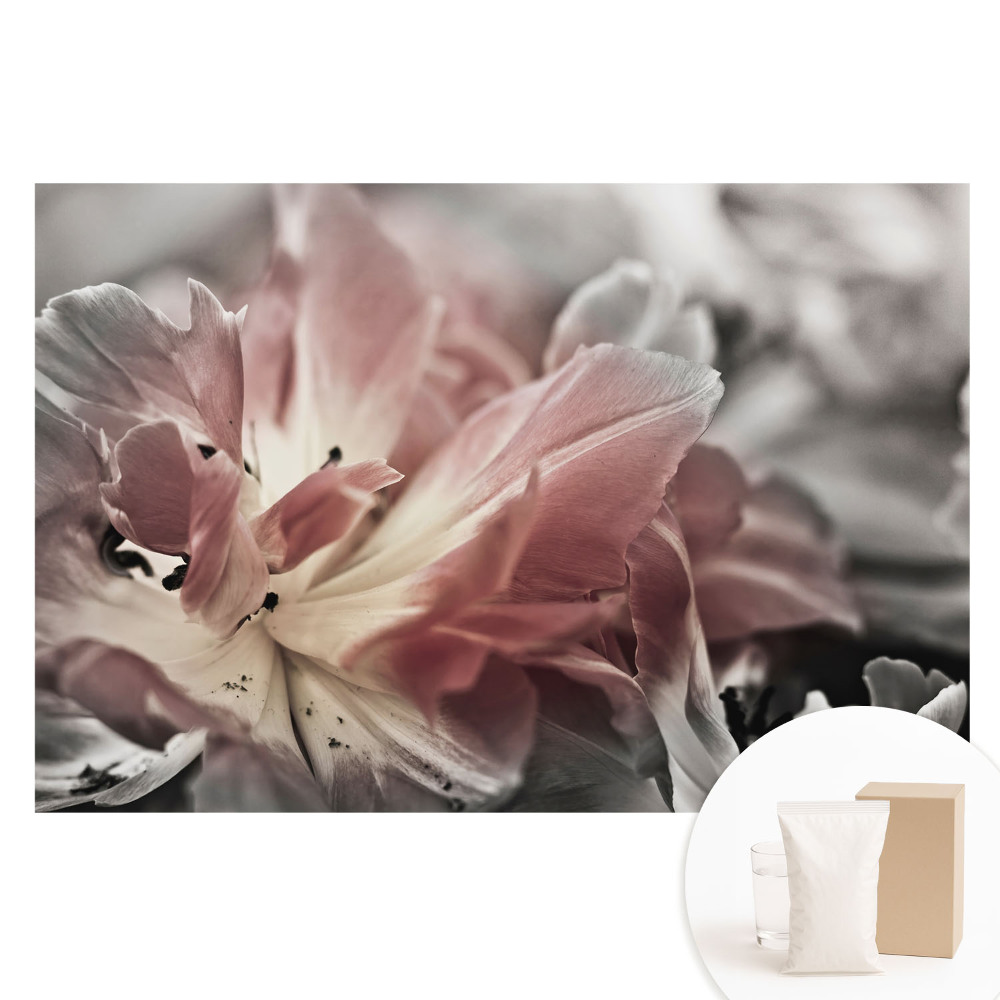Papier peint panoramique intissé avec gros plan sur des pétales de fleurs délicats
