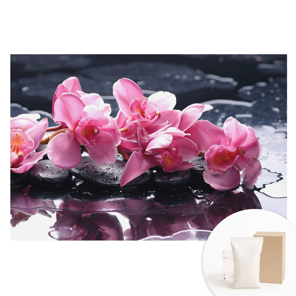 Papier peint photo grand format pour le mur Orchidées roses sur pierres