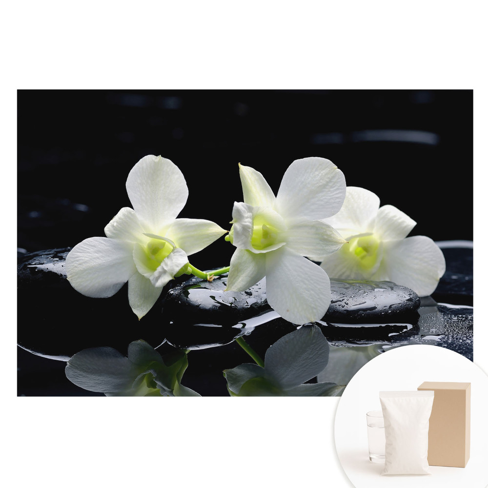 Papier peint photo sur tissu non tissé Orchidées blanches sur des pierres.